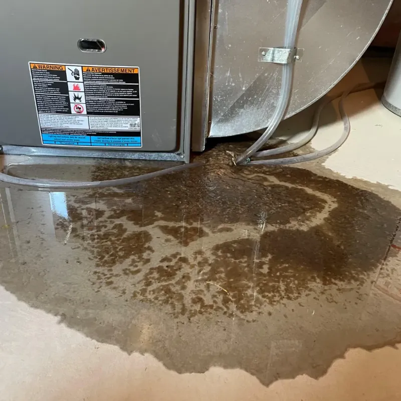 Appliance Leak Cleanup in Hartford, VT